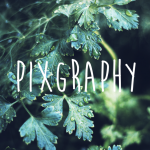 画像・写真で魅せる、WordPress無料テーマなら、「Pixgraphy」