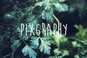 画像・写真で魅せる、WordPress無料テーマなら、「Pixgraphy」